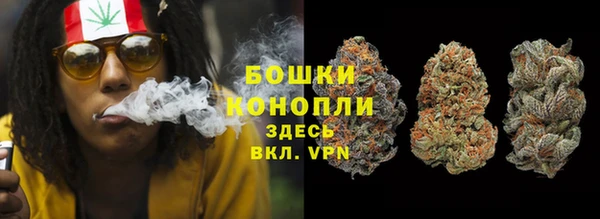 бутират Инсар
