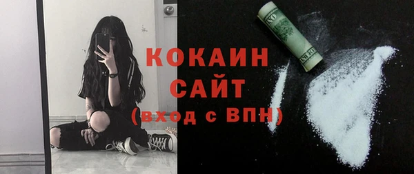 ешки Инта