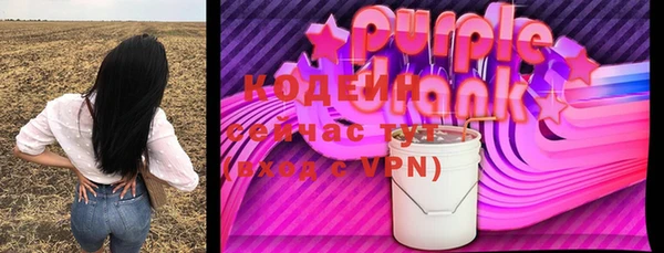 ешки Инта