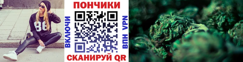 Бошки Шишки сатива  Киселёвск 
